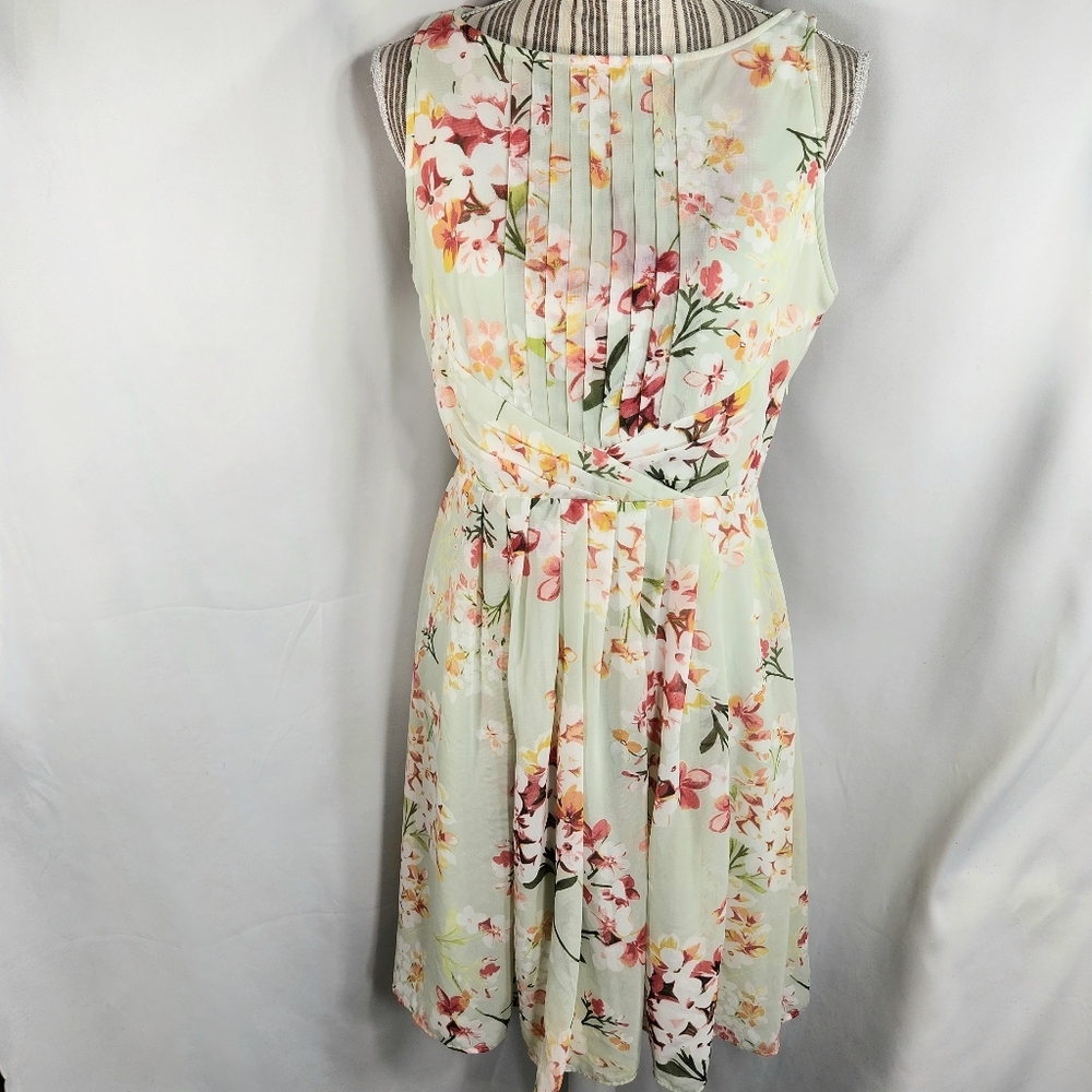 db 1962 NWOT Pale Green Pleated Front Bodice Floral Sleeveless Dress Size 10